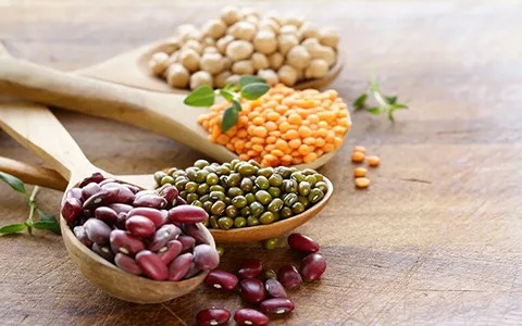 خرید و قیمت کنسرو حبوبات آش + فروش عمده